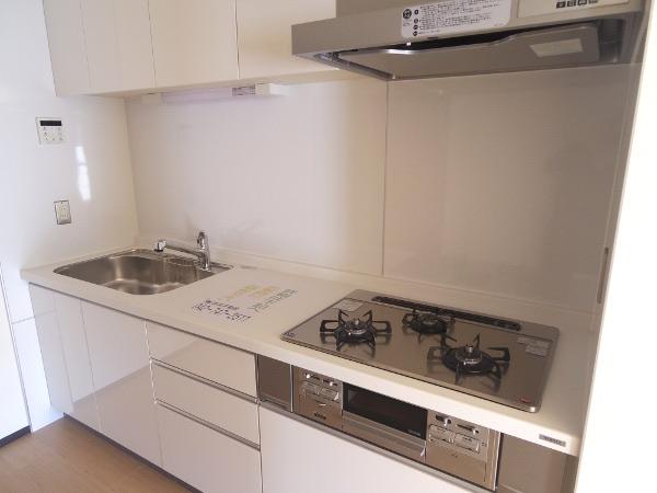 Kitchen. Indoor (11 May 2013) Shooting