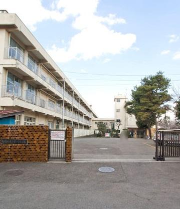 Primary school. 710m until the crane platform elementary school