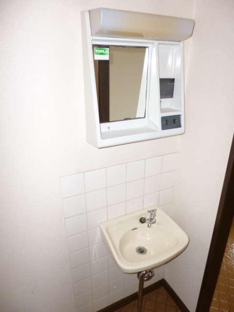 Washroom. It comes with a mirror