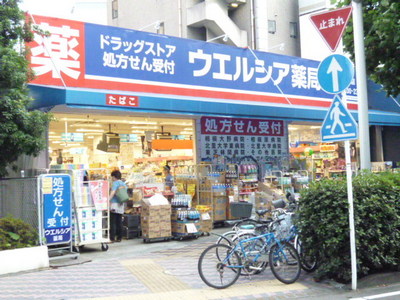 Dorakkusutoa. Drag Seimusu Sagamiono shop 115m until (drugstore)