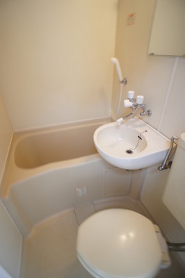 Toilet. Ease of use is good cleaning is also easy of unit with a bath.