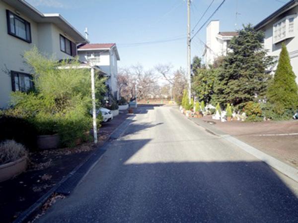 Local photos, including front road. Local (12 May 2013) Shooting