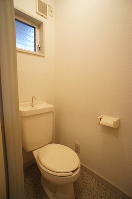 Toilet. It is a toilet with a clean feeling with a small window.
