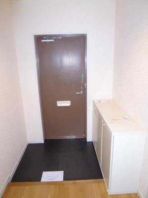 Entrance. Has also been installed convenient cupboard is at the door