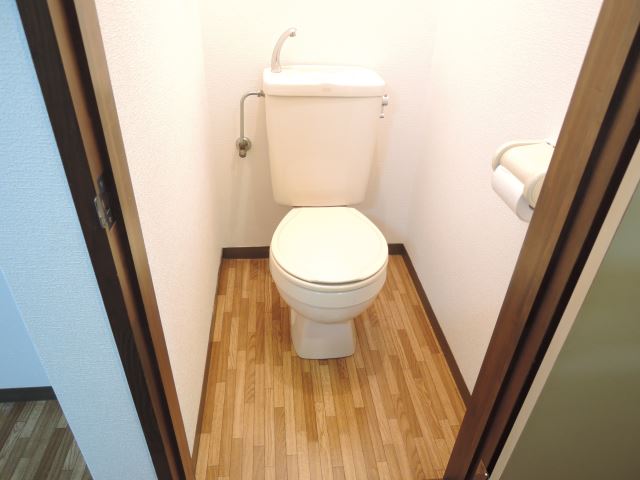 Toilet. It is a toilet with a clean. 