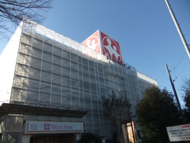 Other. 1100m to Tokyu Store Chain (Other)