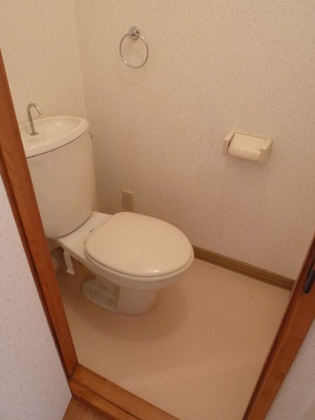 Toilet. Toilet