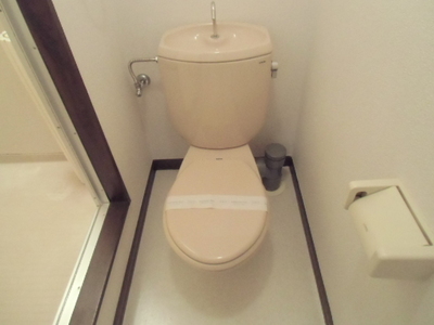 Toilet. Is a toilet with a clean feeling in the space in which the white-toned.