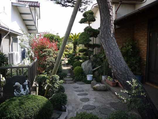 Local appearance photo