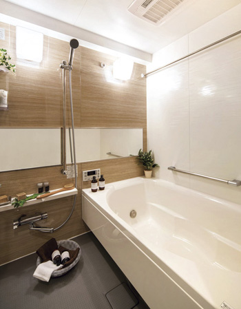 Bathing-wash room. Comfortable relaxation space, Bathroom