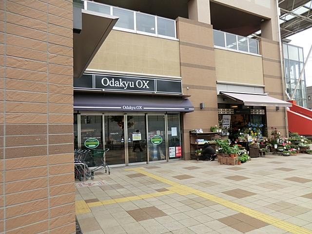 Supermarket. OdakyuOX 768m to Sagamihara store