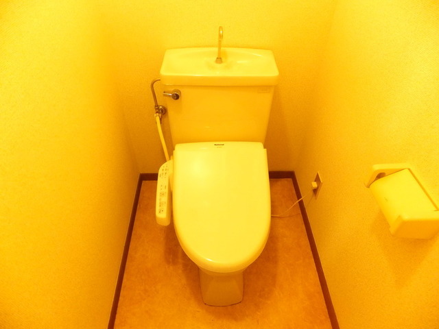 Toilet. Bidet