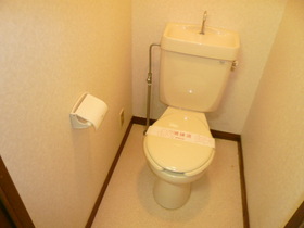 Toilet. Toilet