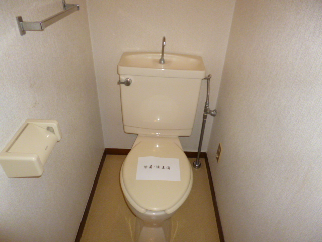 Toilet. It is white and clean toilet