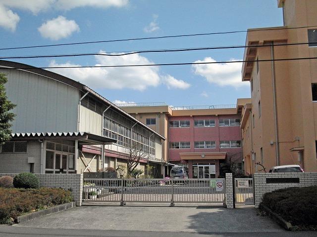 Primary school. Until the oak stand elementary school 550m