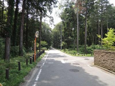 Streets around. Forest 350m Komorebi to the periphery of the city skyline