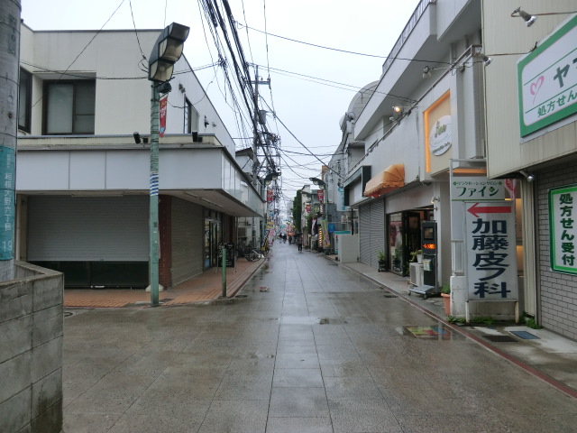 Other. Sagamiono 30m to Ginza shopping district (Other)
