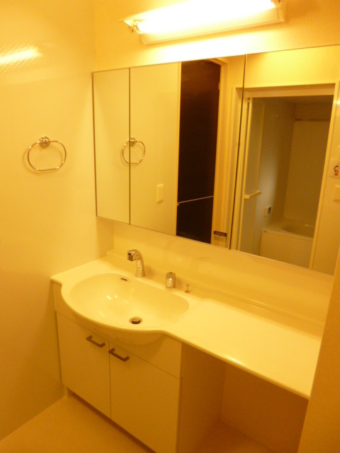 Washroom. Wash basin of a large mirror