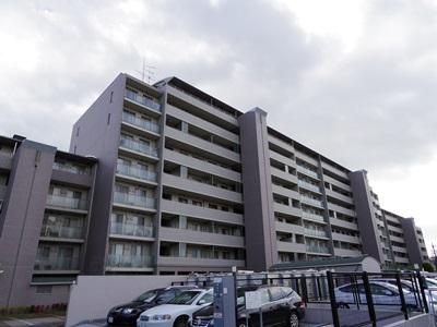 Local appearance photo. Local (10 May 2013) Shooting