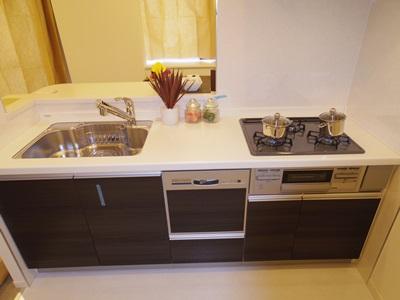 Kitchen. Indoor (10 May 2013) Shooting