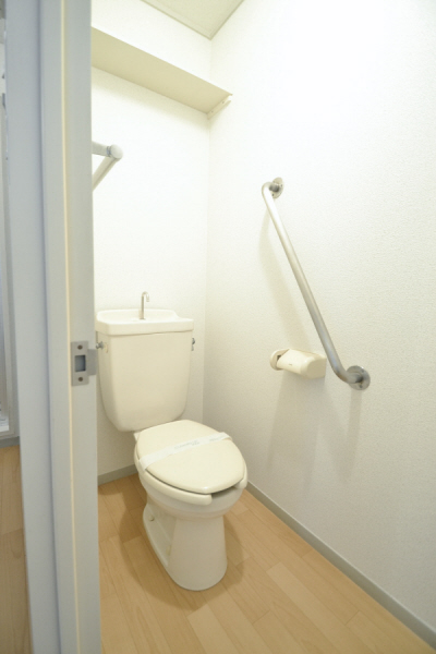 Toilet. Kind with handrail! It is convenient there is a shelf on the top! 