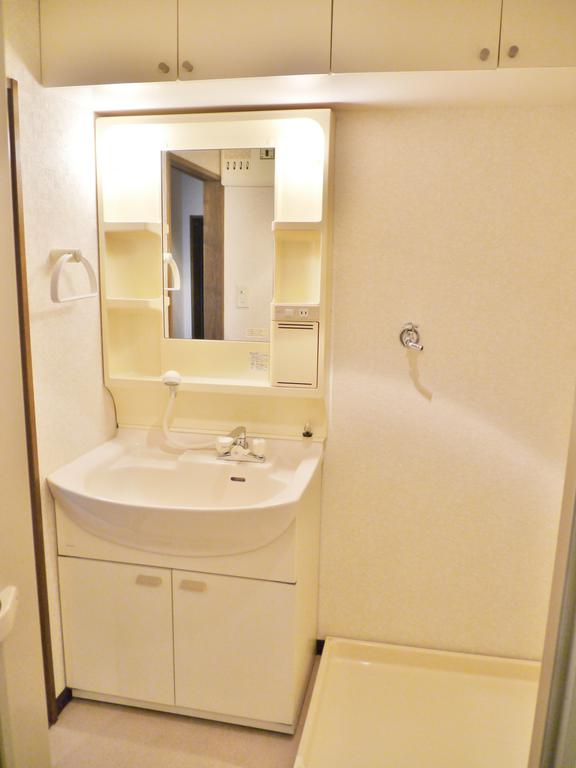 Washroom. Sink and washing machine inside the yard. There shelf can hold towels or the like in the upper.