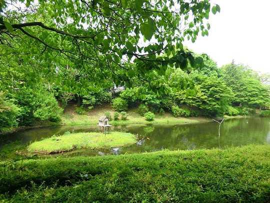 Other. Michiho river park 950m