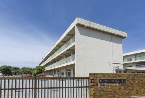 Primary school. Kashimadai until elementary school 310m