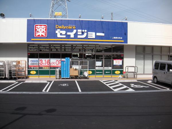 Drug store. Seijo Kamitsuruma Hon 462m to shop