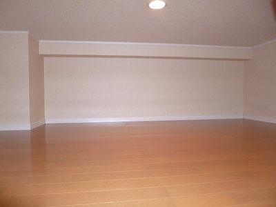 Other. loft