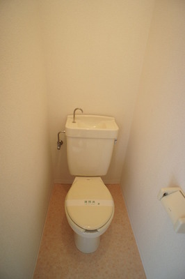 Toilet. In a clean space by easy-to-use bus toilet