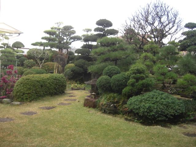 Local land photo. It comes with up to your landscaped Japanese garden.
