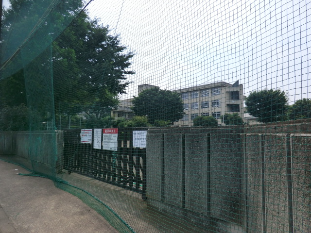 Junior high school. Little Women 558m until junior high school (junior high school)