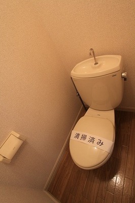 Toilet. Western-style toilets are also acceptable installation of the bidet
