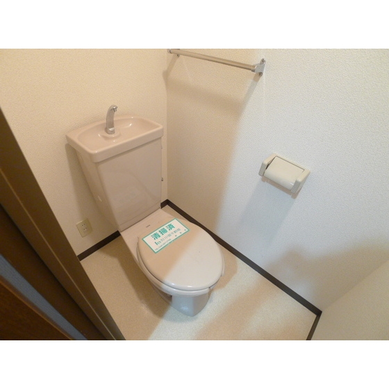 Entrance. Clean toilet with a shelf