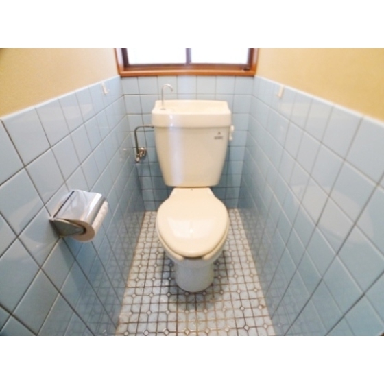 Toilet. It is a loose toilet space