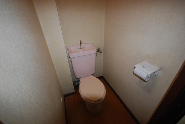 Toilet. Indoor (12 May 2013) Shooting