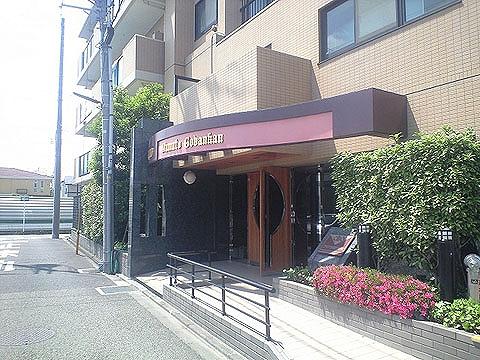 Entrance. Common areas