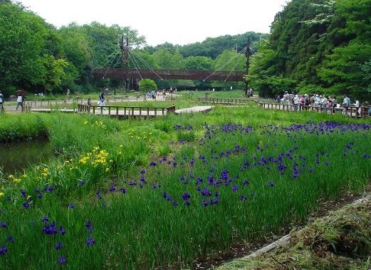 park. 2200m until the forest of Izumi