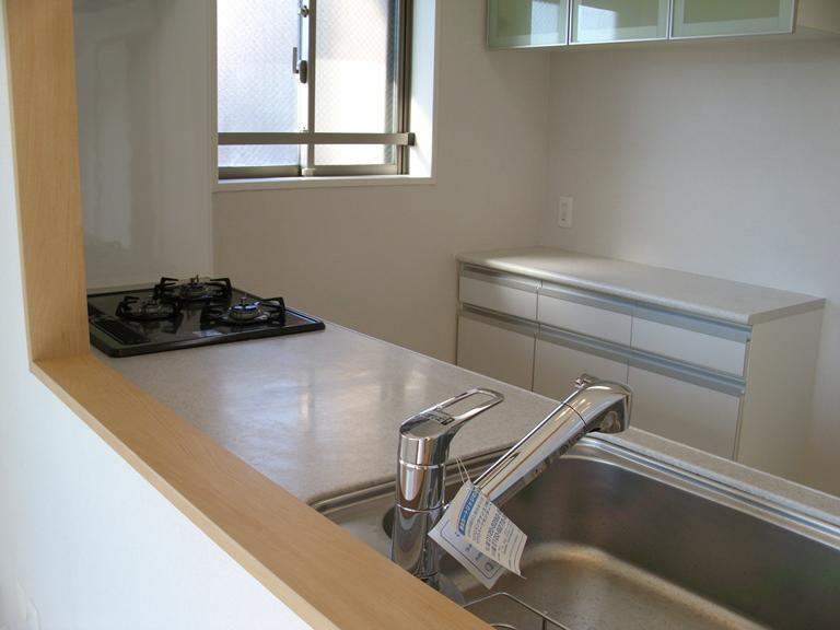 Kitchen. Indoor (11 May 2013) Shooting