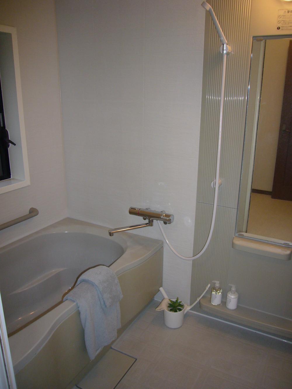 Bathroom. Indoor (11 May 2013) Shooting