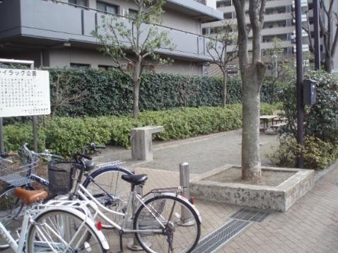 Local appearance photo