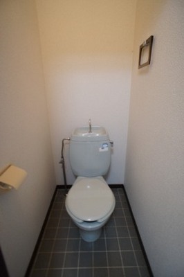 Toilet. Recommended easy-to-use style bathroom without a toilet is