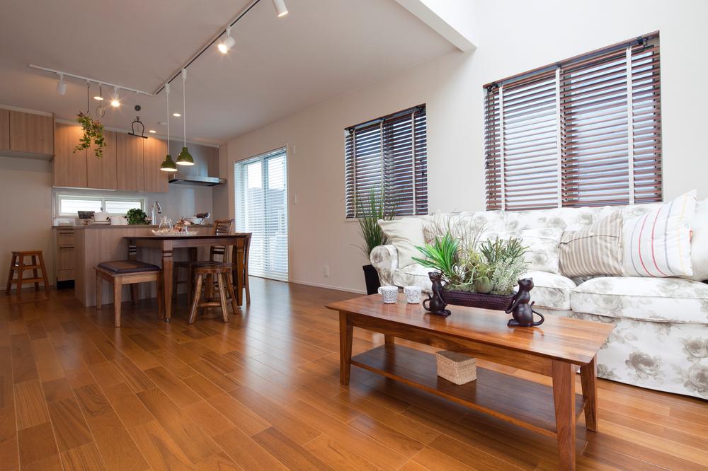 Living. Indoor (June 2013) Shooting