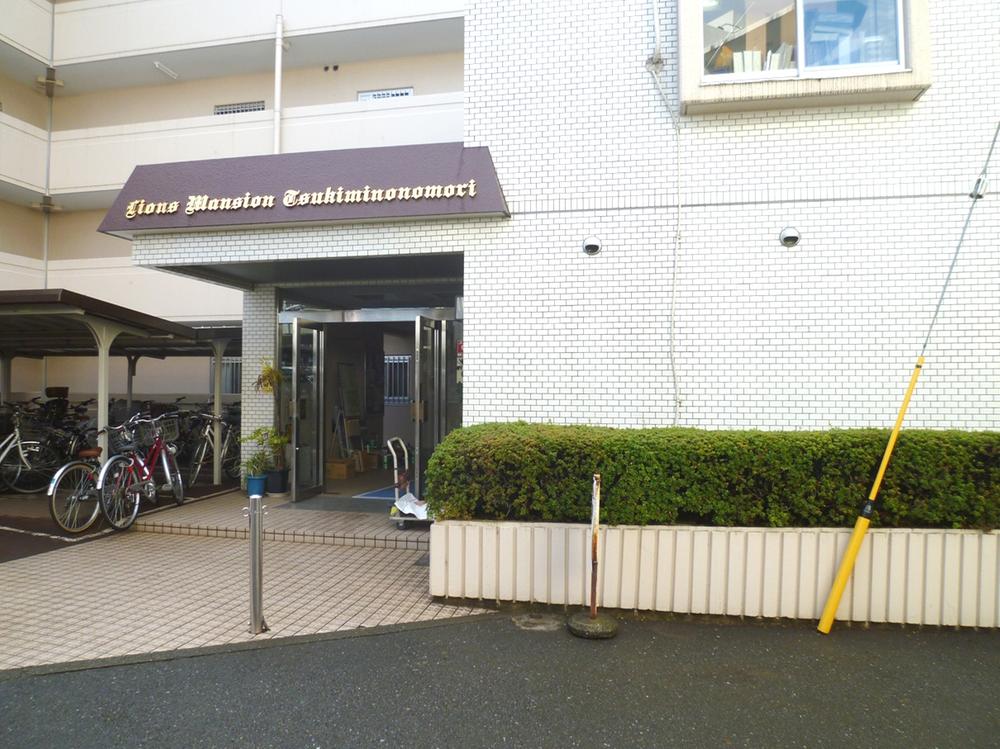 Local appearance photo. Local (12 May 2013) Shooting