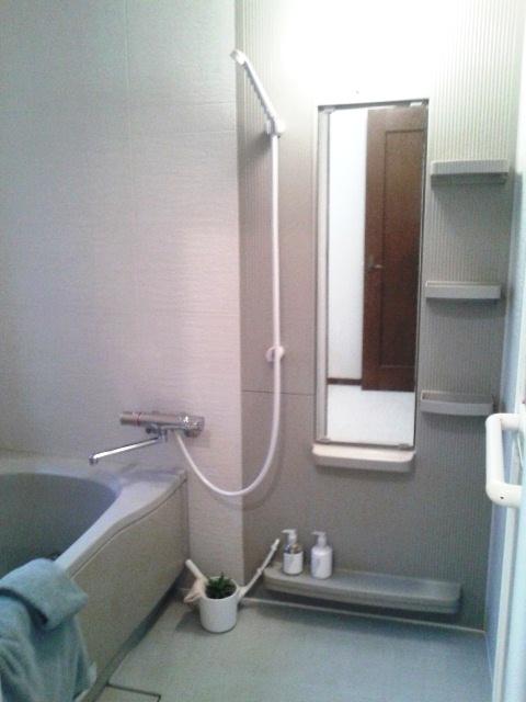 Bathroom. Indoor (12 May 2013) Shooting