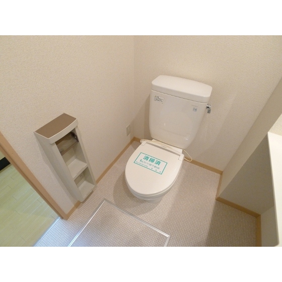 Toilet. On top of the toilet comes with a shelf.