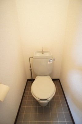 Toilet. Recommended easy-to-use style bathroom without a toilet is