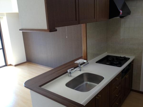 Kitchen. Room (August 2013) Shooting