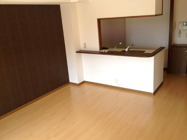 Living. Room (August 2013) Shooting